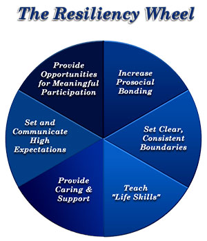 The Resiliency Wheel